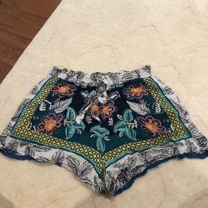 Beach Coverup Shorts